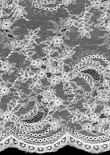 RASCHEL LACE - IVORY
